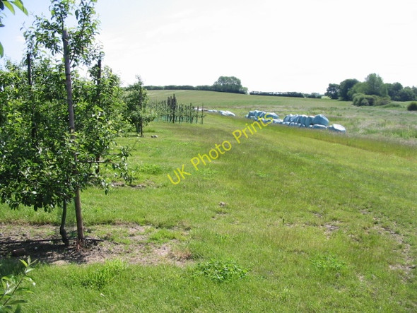 Photo 6"x4" Looking E across the farmland from edge of the orchard Groves\/TR2657 c2008