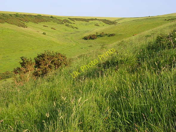 Photo 6"x4" Downland. Chaldon Herring Chaldon Herring or East Chaldon c2008