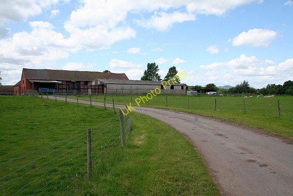 Photo 6"x4" Driveway to barns at Hillworth Farm Longdon\/SO8336 c2008