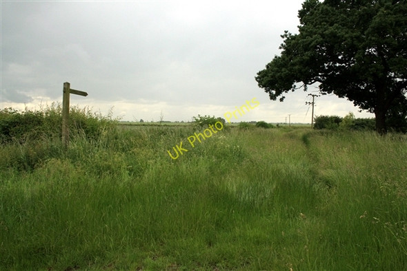 Photo 6"x4" Footpath off Broadings Lane Laneham c2008