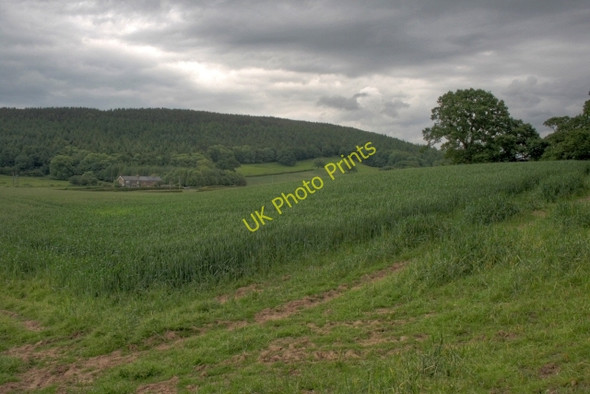 Photo 6"x4" Course of Former Tramway Heathwaite\/NZ4801 c2008