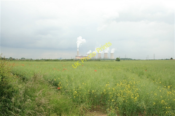 Photo 6"x4" Ripening rape seed, towards Cottam Laneham c2008