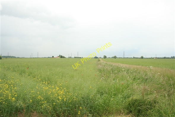 Photo 6"x4" Towards Broading Farm Laneham c2008