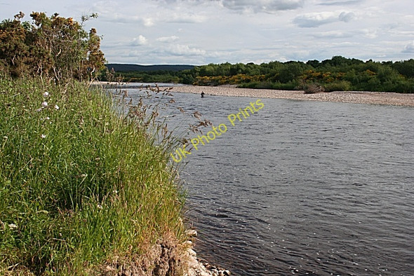 Photo 6"x4" River Spey near Culriach Wood Bogmoor c2008