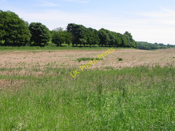 Photo 6"x4" View along the valley towards Ladwood Ridge Row c2008