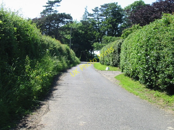 Photo 6"x4" Lane past Henbury Lodge, looking W North Elham c2008