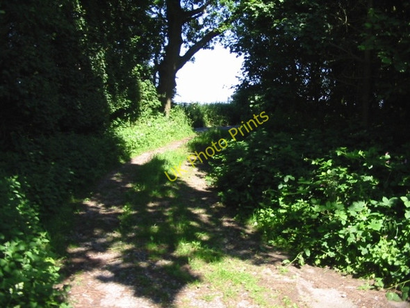 Photo 6"x4" Unofficial cut through? North Elham c2008