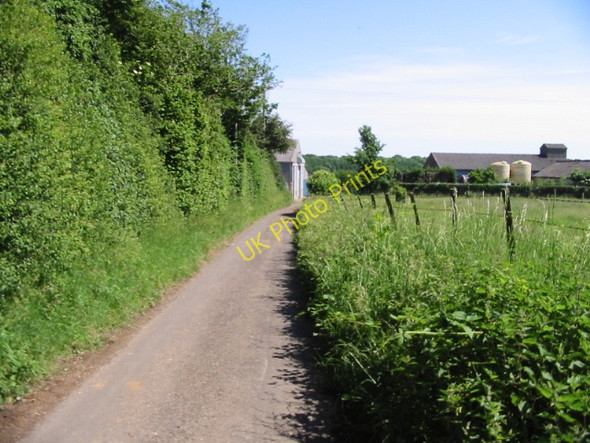 Photo 6"x4" Looking SE along lane towards Standardhill Farm North Elham c2008