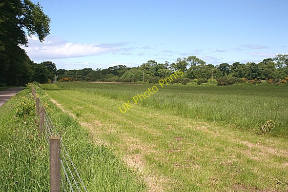 Photo 6"x4" Silage Field Bridge of Tynet c2008