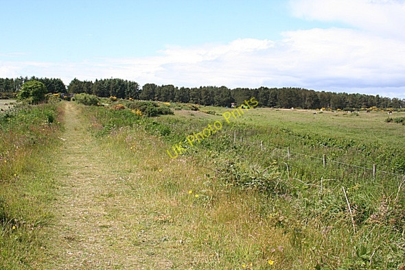 Photo 6"x4" On the Speyside Way Lower Auchenreath c2008