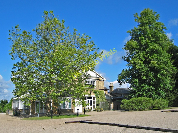Photo 6"x4" Furze Hill Handley Green c2008