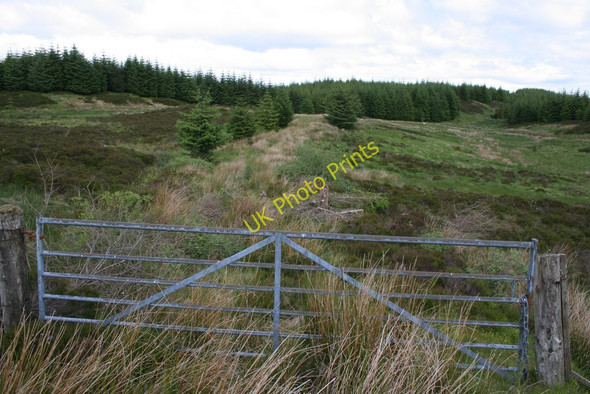 Photo 6"x4" Disused forestry road Bealach Maim c2008
