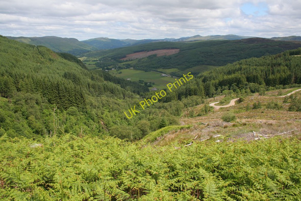 Photo 6"x4" Forestry road above Balachandrain Burn Bealach Maim c2008