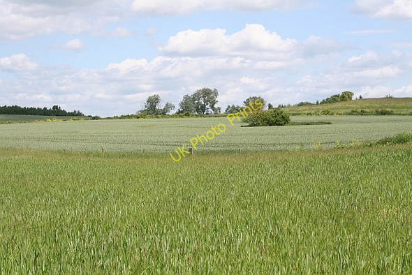 Photo 6"x4" Ploughed up footpath Longdon Hill End c2008