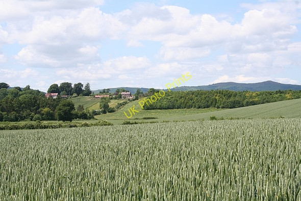 Photo 6"x4" The Longdon Marsh basin Longdon Hill End c2008