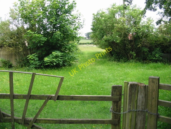 Photo 6"x4" Looking E from lane to Ridge Row Densole c2008