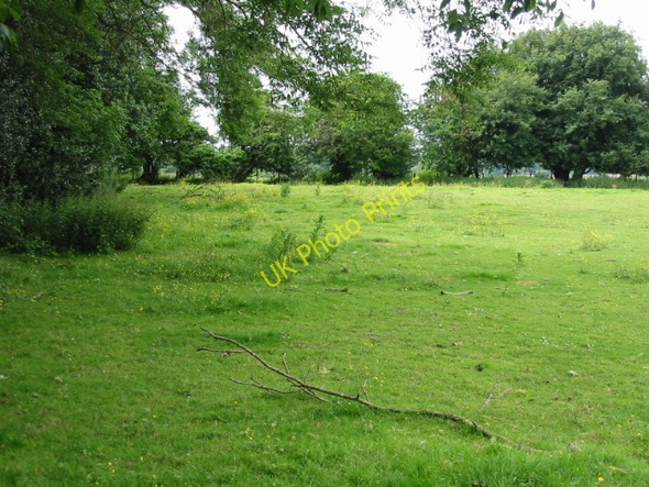 Photo 6"x4" Field to the NW of lane to Ridge Row Densole c2008