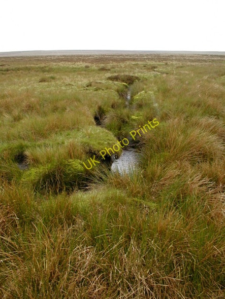 Photo 6"x4" Deepdale Beck Deepdale Beck\/NY9114 c2008