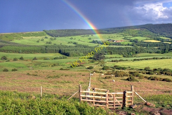 Photo 6"x4" Gate on the Climb up Roseberry Great Ayton c2008