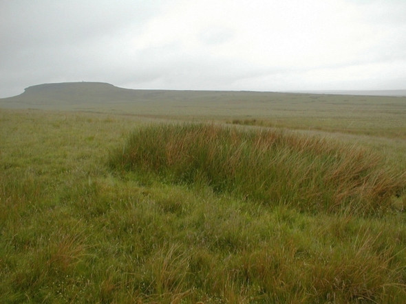 Photo 6"x4" On Galloway Rigg Kelton\/NY9220 c2008