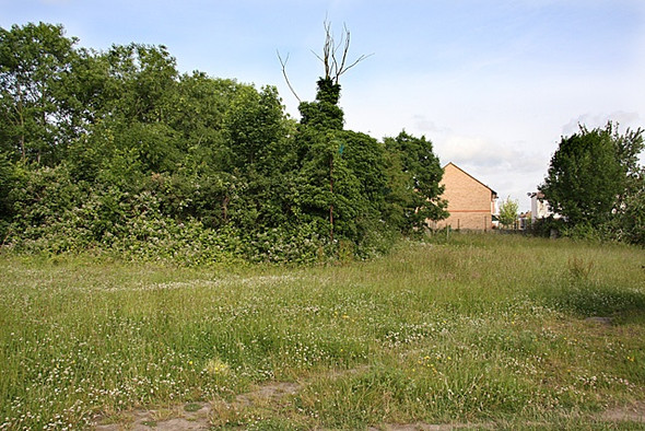 Photo 6"x4" Stanley Road Playing Fields Finchley c2008