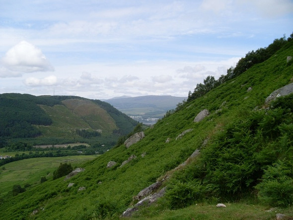 Photo 6"x4" Meall an t-Suidhe hillside Fort William\/An Gearasdan c2008