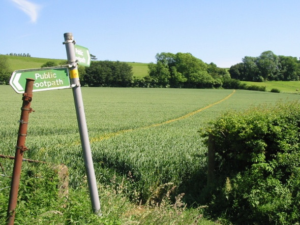 Photo 6"x4" Footpath across The Laynes Elham c2008