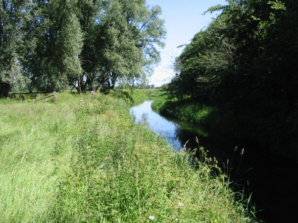 Photo 6"x4" The Little Stour in the Newnham Valley Grove Hill\/TR2360 c2008
