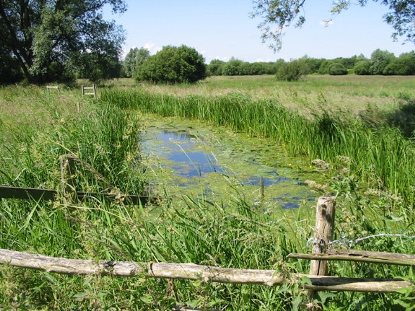 Photo 6"x4" Drainage dike in the Newnham Valley Grove Hill\/TR2360 c2008