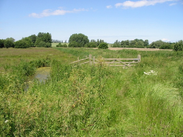 Photo 6"x4" Looking W across the Newnham Valley Grove Hill\/TR2360 c2008
