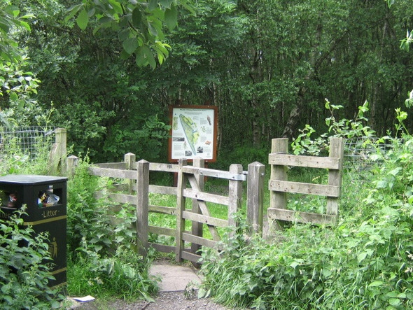 Photo 6"x4" Kingmoor Sidings Nature Reserve Carlisle c2008