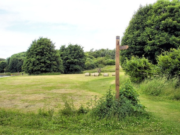 Photo 6"x4" Meadow in Anderton Nature Park Northwich c2008