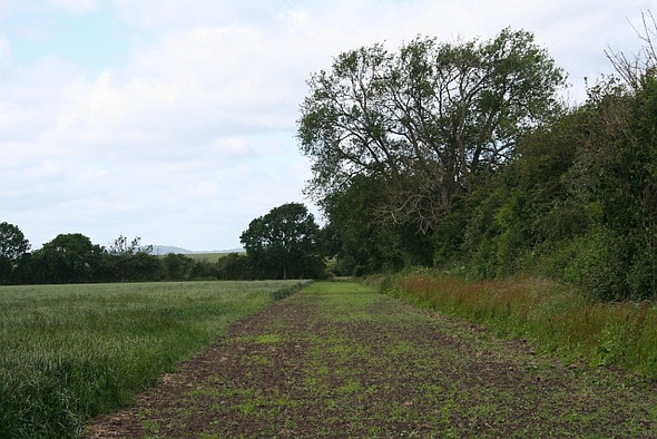 Photo 6"x4" Wide Field Margin Baughton c2008