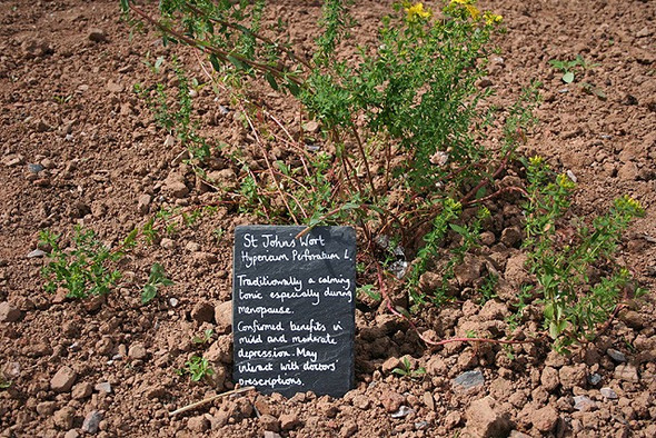 Photo 6"x4" Cullompton: Culm Valley Integrated Centre for Health 4 St George's Well\/ST0208 c2008