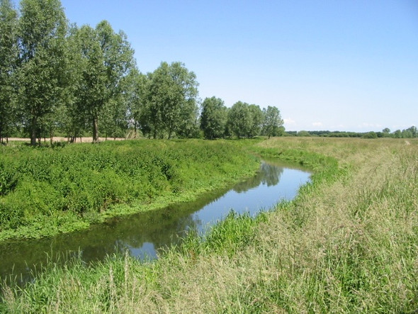 Photo 6"x4" Looking N along the Little Stour and footpath Grove Hill\/TR2360 c2008