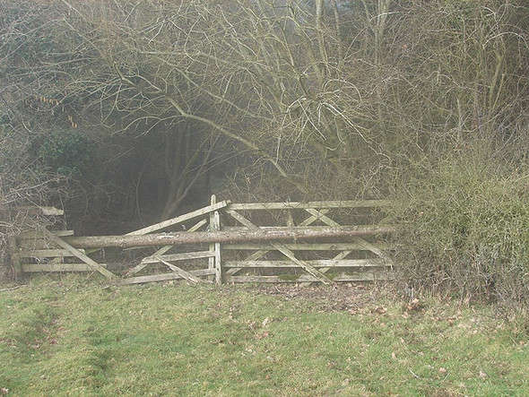 Photo 6"x4" Entrance to Park Wood Carnedd c2006
