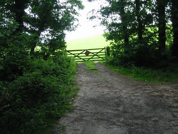 Photo 6"x4" Track to gate leading to Knowl Hill Shuttlesfield c2008