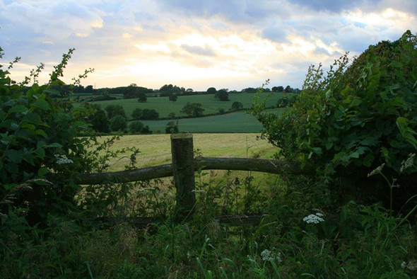Photo 6"x4" A Gap in the Hedge Dale Moor c2008