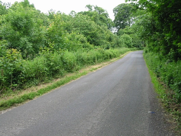 Photo 6"x4" Looking SE along road to Densole Shuttlesfield c2008