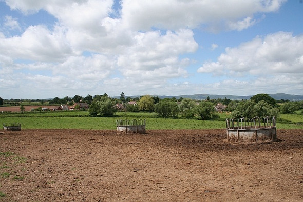 Photo 6"x4" Cattle feeders Green Street\/SO8740 c2008