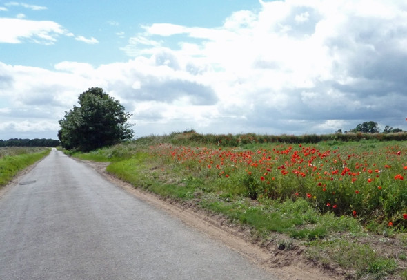 Photo 6"x4" The Road to Alkborough Alkborough c2008