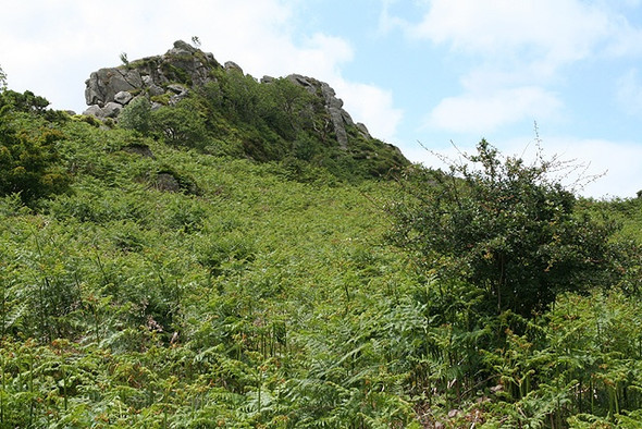 Photo 6"x4" Manaton: Greator Rocks Bonehill\/SX7277 c2008