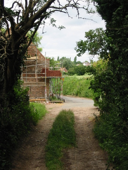 Photo 6"x4" Track to Coombe Lane Coombe\/TR2957 c2008