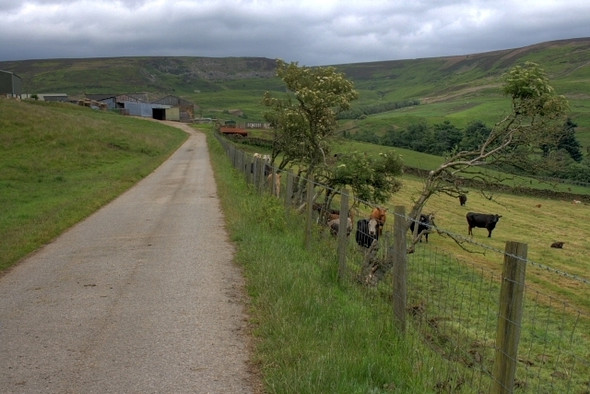 Photo 6"x4" Road to Nab Farm Kepwick c2008