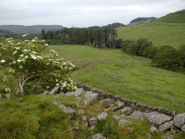 Photo 6"x4" View of Nab Farm ... Kepwick c2008