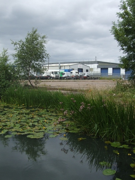 Photo 6"x4" Recycling beside the Walsall Canal Darlaston c2008