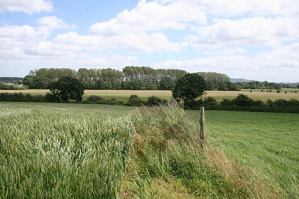 Photo 6"x4" Field edge and Smithmoor Common Baughton c2008