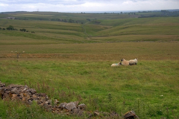 Photo 6"x4" View Down Feldon Gill Cordilleras c2008