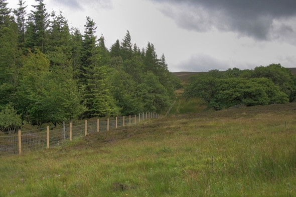 Photo 6"x4" Gayles Plantation Dalton\/NZ1108 c2008