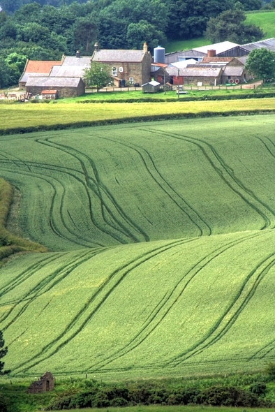 Photo 6"x4" Aireyholme Farm Great Ayton c2008